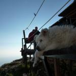 il Guardiano del Rifugio