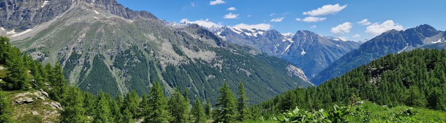 Sullo sfondo Il Gran Paradiso