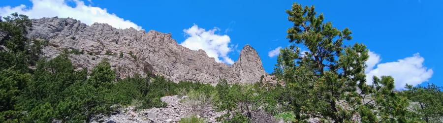 Torre Germana, panorama