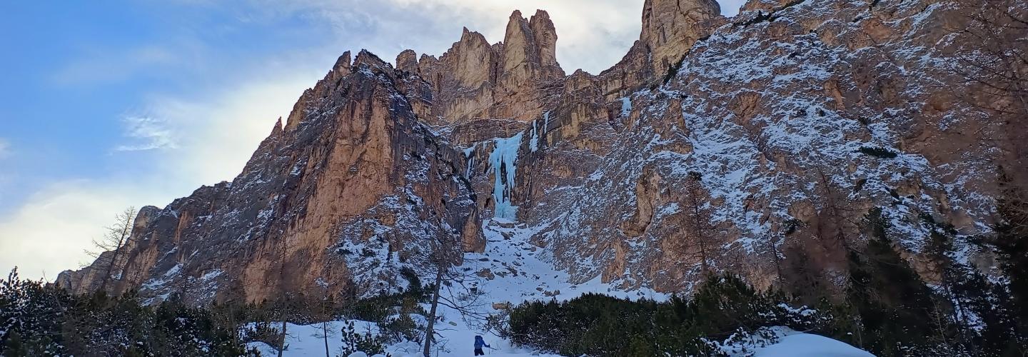 La piovra vista dalla vallunga